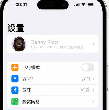 成都appleID维修服务iPhone设置中Apple ID显示为灰色无法使用 