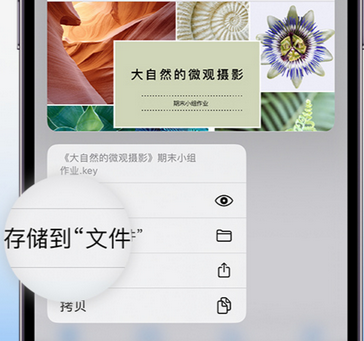 成都apple维修中心分享iPhone文件应用中存储和找到下载文件