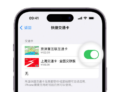 成都apple维修点分享iPhone上更换Apple Pay快捷交通卡手绘卡面 