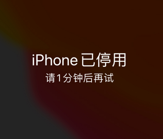 成都苹果手机维修分享:iPhone 显示“不可用”或“已停用”怎么办？还能保留数据吗？ 