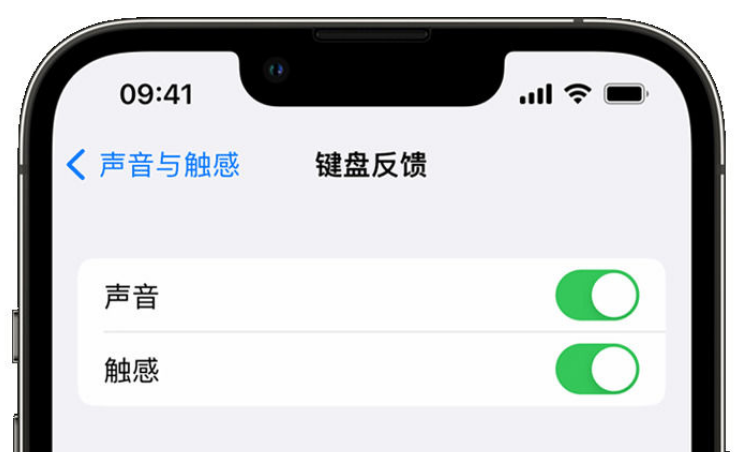 成都苹果手机维修分享iPhone 14触感键盘使用方法 