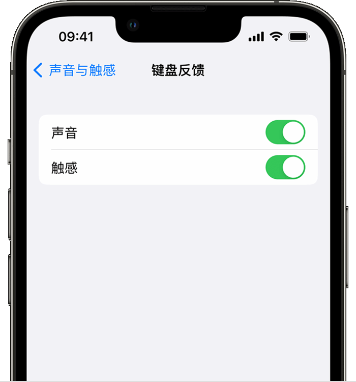 成都苹果14维修店分享如何在 iPhone 14 机型中使用触感键盘 