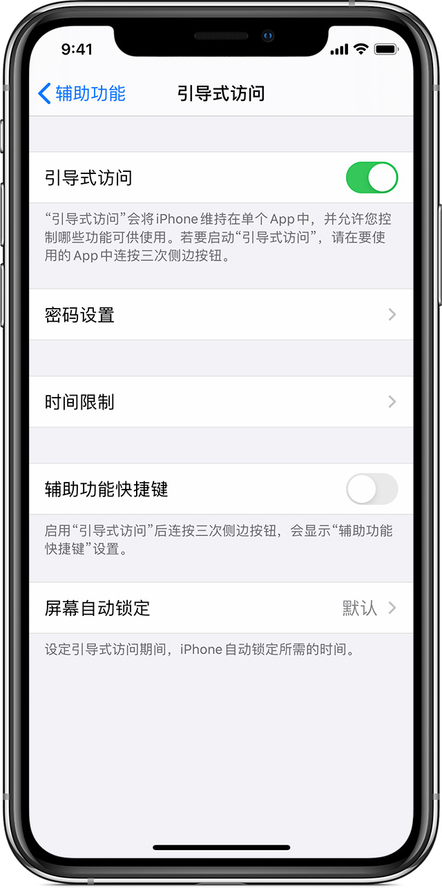 成都苹果手机维修分享如何在 iPhone 上退出引导式访问 