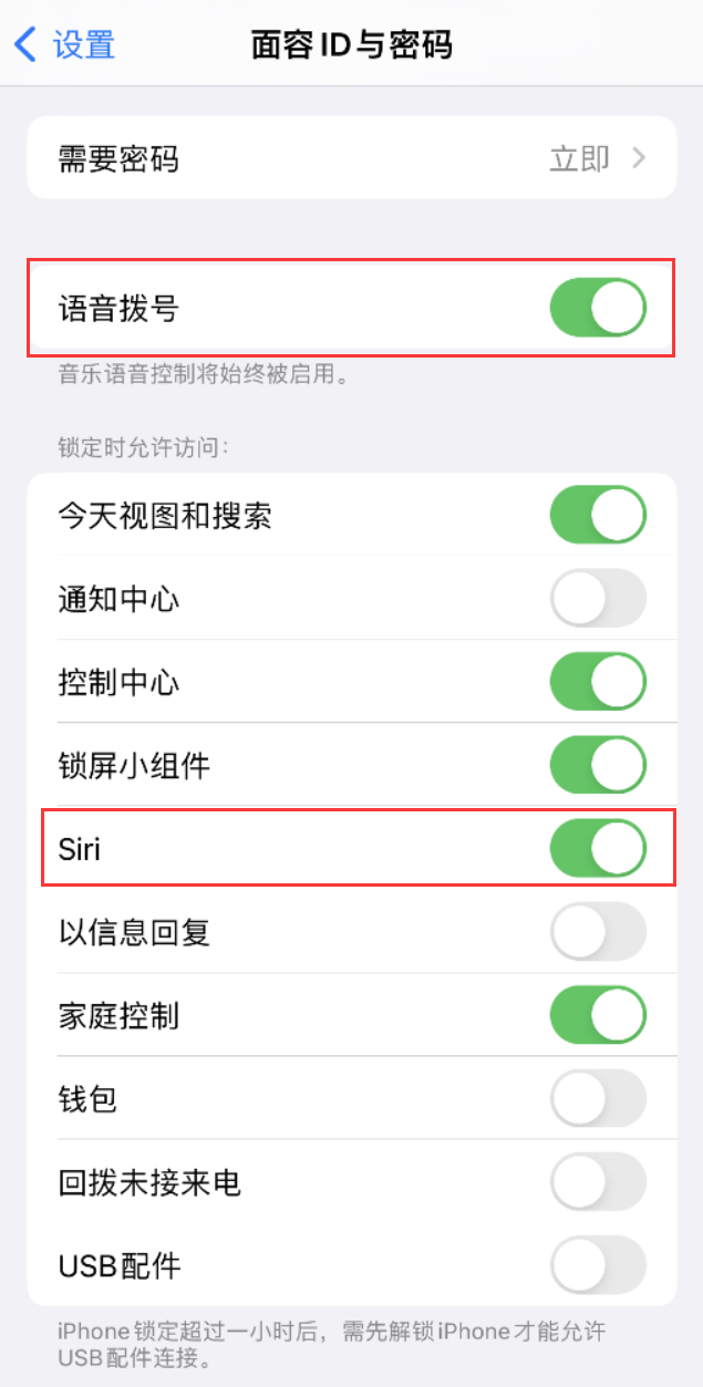 成都苹果维修网点分享不解锁 iPhone 的情况下通过 Siri 拨打电话的方法 