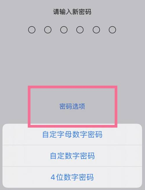 成都苹果14维修分享iPhone 14plus设置密码的方法 