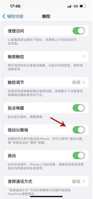 成都苹果手机维修分享iPhone手机如何设置摇一摇删除文字 