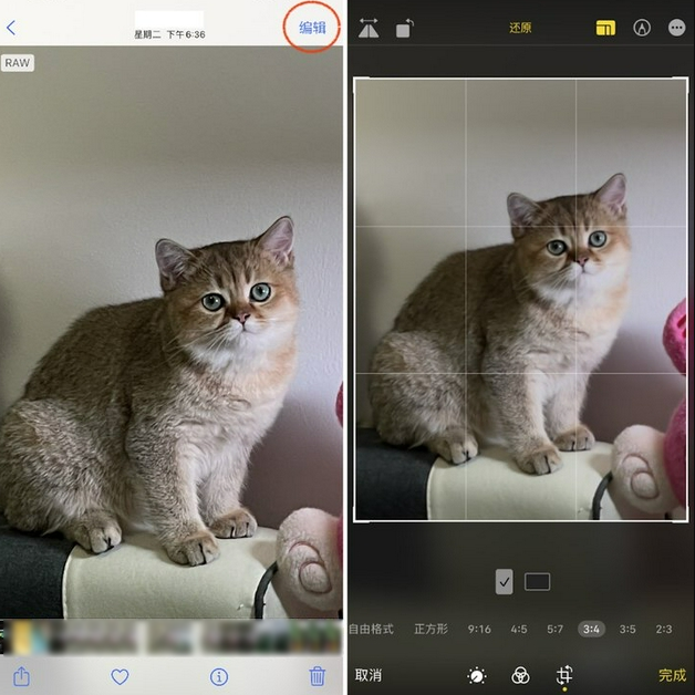 成都苹果手机维修分享苹果 iPhone 12 Pro 拍照会过度锐化 